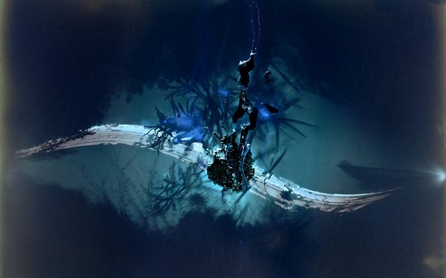 the-bloom-of-possible-worlds:-jenny-tomlin-on-her-alternative-photography-practice