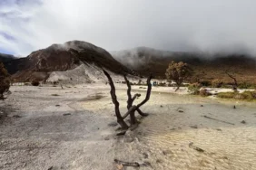 gunung-papandayan-cocok-untuk-pemula?-ini-7-alasannya