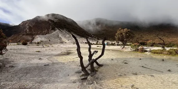 Gunung Papandayan Cocok untuk Pemula? Ini 7 Alasannya