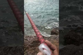 #mancing mania #pokokemancing