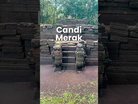 Penampakqn candi merak di jalur pendakian penanggungan via genting #shorts #pendakiangunung #hiking