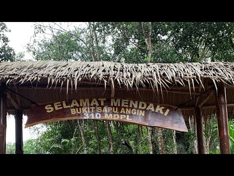 BUKIT SAPU ANGIN 310 MDPL #nature #travel  #pendaki #pemandanganbagus #keindahanalam #pendakigunung