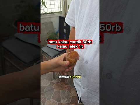 batu kalau cantik 50rb jelek 1jt batu akik agate #batuakik