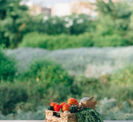 mengenal-konsep-farm-to-table