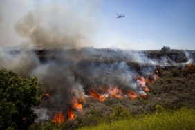 musim-kebakaran-hutan-california-sudah-terlalu-aktif