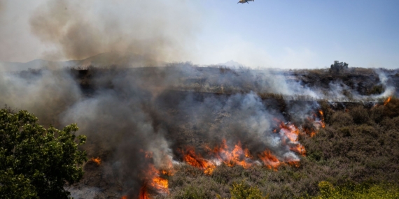 Musim Kebakaran Hutan California Sudah Terlalu Aktif