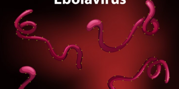 Dokter AS Terinfeksi Virus Ebola Bundibugyo Dievakuasi ke Jerman