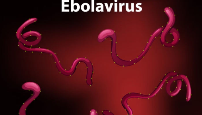 dokter-as-terinfeksi-virus-ebola-bundibugyo-dievakuasi-ke-jerman