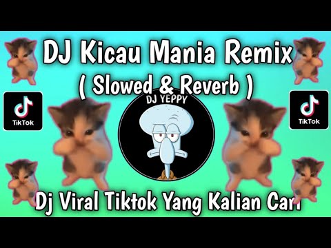 DJ KICAU MANIA REMIX SLOW VIRAL TIKTOK TERBARU YANG KALIAN CARI