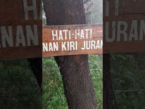 pos 3 menuju pos 4/puncak gunung prau via dieng #alam #pendaki