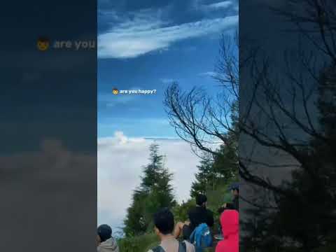 keluar sebentar menikmatialam #healing#pendaki #gunungprau2565mdpl #shorst #shortsfeed #shorstvideo