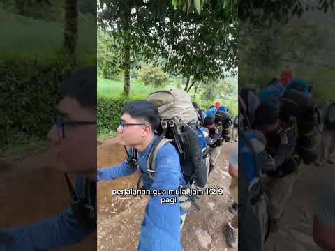Jangan mendaki gunung ini saat weekend! #gununggede #gunungindonesia #pendakigunung #pendaki #shorts
