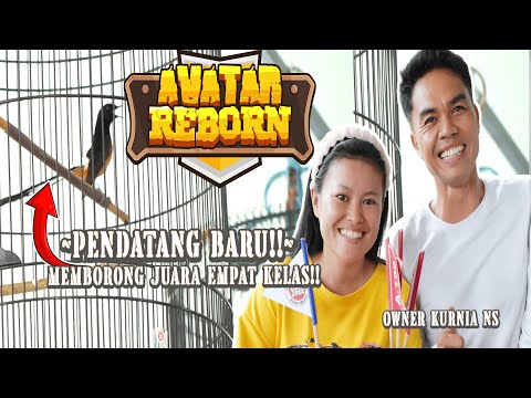 BERSESI-SESI‼️‼️ MURAI BATU AVATAR REBORN OWNER KURNIA NS DI EVENT LAUNCHING BNR REBORN LUBUKLINGGAU