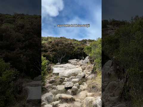 Sudah tau bagaimana tereknya masih nda kapok tekok BK 🗿#pendaki #bawakaraeng #gunung #mountains