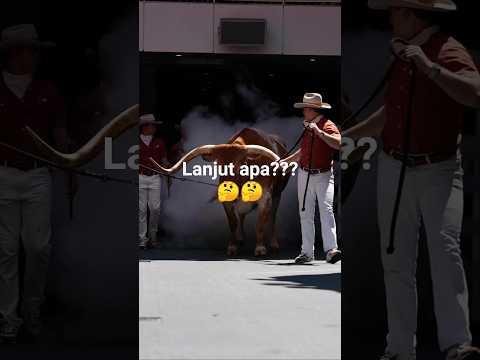 Lanjut apa Menyerah? 🤔.  #puncak #pendaki #pemandanganpegunungan #shortvideo #shorts #fyp #viral