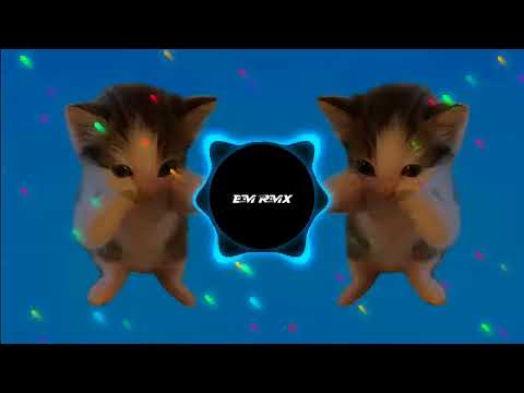 DJ KICAU MANIA X CURI CURI PANDANG SLOW VIRAL TIKTOK TERBARU 2026 YANG KALIAN CARI