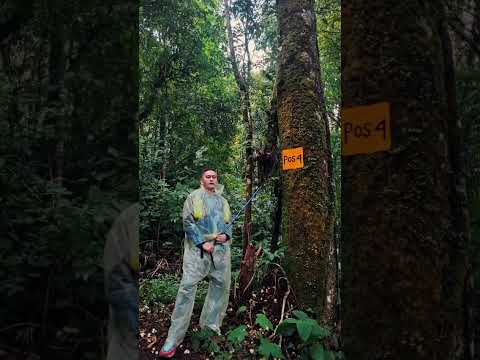 GUNUNG PANGPARANG 18/9/25 #pendaki