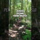 EKSPEDISI BERSAMA PENDAKI MALAYSIA MELEWATI HUTAN PANJANG TAK TERJAMAH, AKANKAH PENDAKIANNYA SUKSES.