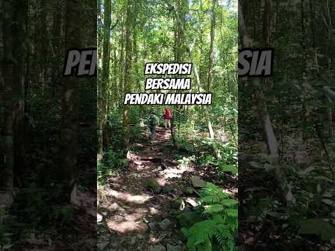 EKSPEDISI BERSAMA PENDAKI MALAYSIA MELEWATI HUTAN PANJANG TAK TERJAMAH, AKANKAH PENDAKIANNYA SUKSES.