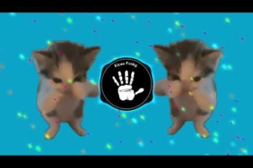DJ KICAU KICAU KICAU MANIA SLOW VIRAL TIKTOK FULL SONG MAMAN FVNDY 2026