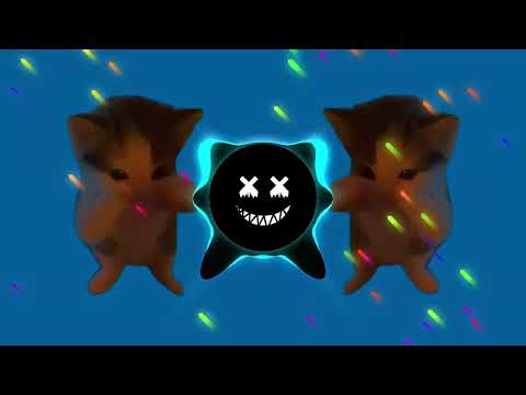 DJ KICAU KICAU MANIA X BODY PATA PATA SLOW VIRAL TIKTOK FULL SONG TERBARU MAMAN FVNDY 2026