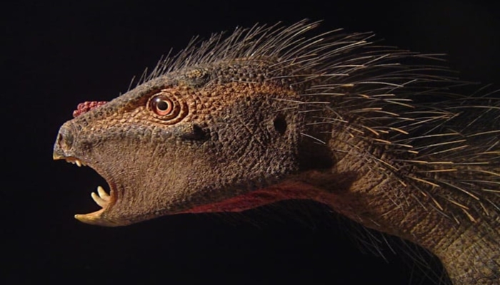 unik!-dinosaurus-herbivora-pegomastax-africanus-punya-taring-dan-tubuh-berduri