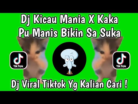 DJ KICAU MANIA KICAU KICAU MANIA X KAKA PU MANIS BIKIN SA SUKA FULL SONG VIRAL TIKTOK TERBARU 2026 !