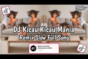DJ KICAU KICAU MANIA REMIX FULL SONG VIRAL TIKTOK TERBARU 2026 | KICAU MANIA X ORANG BARU LEBE GACOR