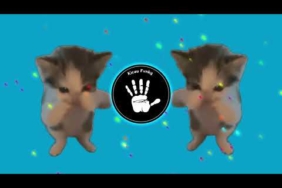 DJ KICAU KICAU KICAU MANIA SLOW VIRAL TIKTOK FULL SONG MAMAN FVNDY 2026