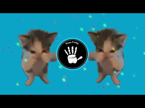 DJ KICAU KICAU KICAU MANIA SLOW VIRAL TIKTOK FULL SONG MAMAN FVNDY 2026