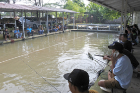 pelataranku-:-tersedia-2-kolam-pancing-ikan-mas,-main-3-jam,-siang-&-malam