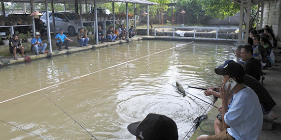 Pelataranku : Tersedia 2 Kolam Pancing Ikan Mas, Main 3 Jam, Siang & Malam