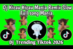 DJ KICAU KICAU MANIA REMIX SLOW FULL SONG VIRAL TIKTOK TERBARU SAAT INI YANG KALIAN CARI !!!!