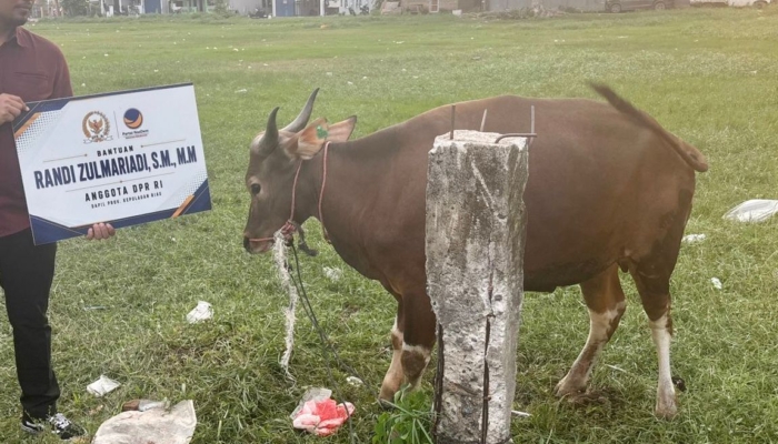 randi-zulmariadi-serahkan-7-sapi-dan-100-kambing-kurban-untuk-masyarakat-kepri