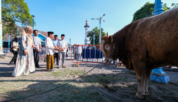 wali-kota-solo-sampaikan-terima-kasih-atas-bantuan-sapi-kurban-dari-presiden