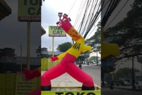 kicau kicau kicau mania