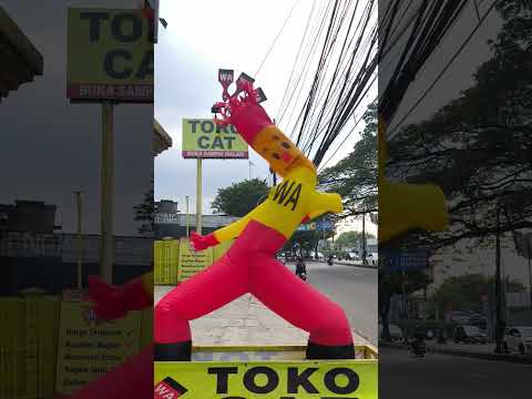 kicau kicau kicau mania
