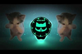 DJ KICAU KICAU KICAU MANIA SLOW VIRAL TIKTOK FULL SONG MAMAN FVNDY 2026