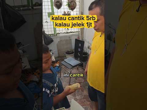 batu akik kalau cantik 5rb kalau jelek 1jt agate #batuakik