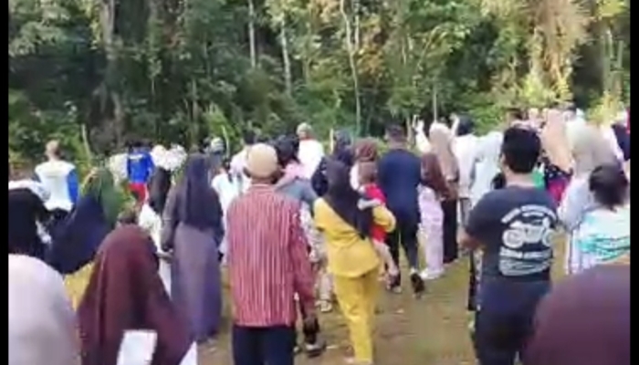 momen-sapi-bernama-hilal-mengamuk-dan-kabur-pulang-ke-rumah-pemiliknya