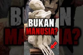 Mumi Ini Bukan Manusia? #shorts #alien