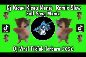 DJ KICAU KICAU MANIA REMIX FULL SONG VIRAL TIKTOK TERBARU YANG DI CARI CARI !!! 2026