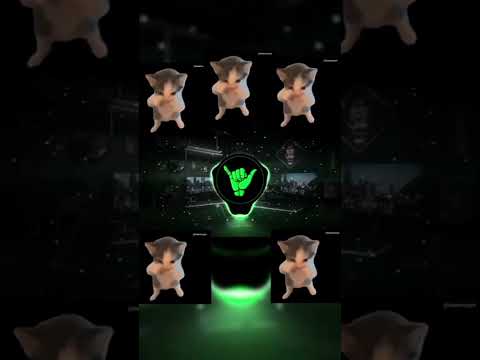 DJ KICAU KICAU KICAU MANIA SLOW VIRAL TIKTOK TERBARU 2026