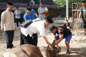 limbah-kurban-tak-selalu-berakhir-jadi-sampah,-ada-cara-mengubahnya-jadi-pupuk-organik