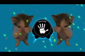 DJ KICAU KICAU KICAU MANIA SLOW VIRAL TIKTOK FULL SONG MAMAN FVNDY 2026