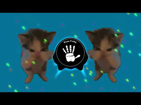 DJ KICAU KICAU KICAU MANIA SLOW VIRAL TIKTOK FULL SONG MAMAN FVNDY 2026