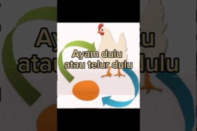 Ayam dulu atau telur dulu #teorikonspirasi @Amar-rooms-misteri