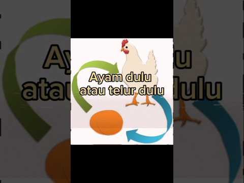 Ayam dulu atau telur dulu #teorikonspirasi @Amar-rooms-misteri
