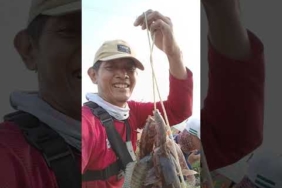 sound mancing mania lagi viral