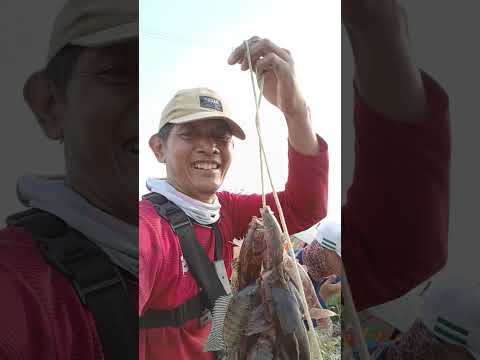sound mancing mania lagi viral